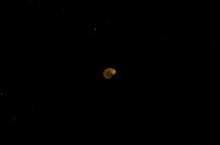 藏品(微小螺)的圖片